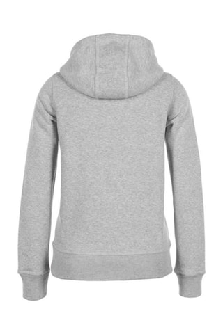 Sweat à capuche Adriver Peak Mountain - Gris chiné