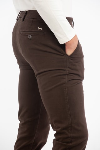 Broek - Bruin - Harmont & Blaine