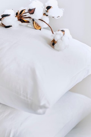 2 fundas de almohada de satén de algodón 80 hilos/cm² Uni - Blanco