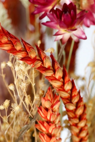 Bouquet Rustic Elegance - Hauteur livrée 55 cm