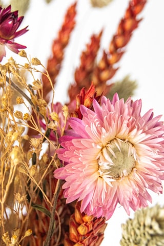 Bouquet Rustic Elegance - Hauteur livrée 55 cm