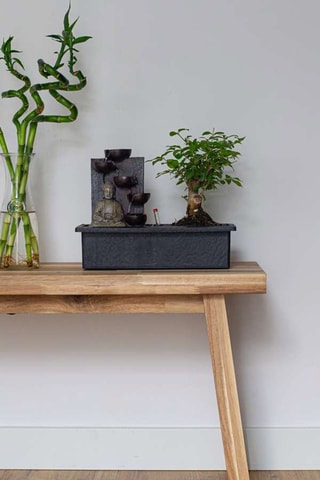 Ensemble Bonsaï chinois avec cascade et statue Bouddha - Hauteur livrée 25-35 cm