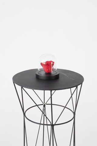 Rose préservée en verre - Hauteur livrée 10 cm