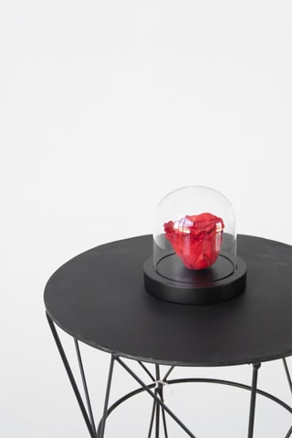 Rose préservée en verre - Hauteur livrée 10 cm