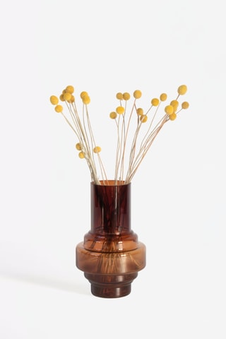 20 tiges de Craspedias séchées - 40-50 cm - Coloris aléatoire