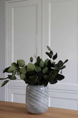 Bouquet d'eucalyptus séché - 40 à 55 cm - Coloris aléatoire