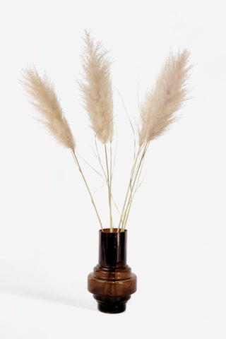5 tiges d'herbes de la pampa séchées - 115 cm - Coloris aléatoire