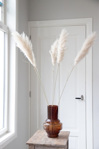 5 tiges d'herbes de la pampa séchées - 115 cm - Coloris aléatoire