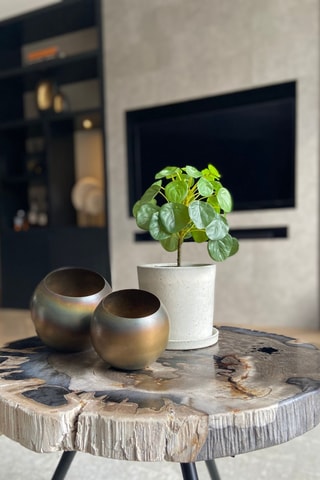 Pilea peperomioides artificiel - Vert - 25 cm