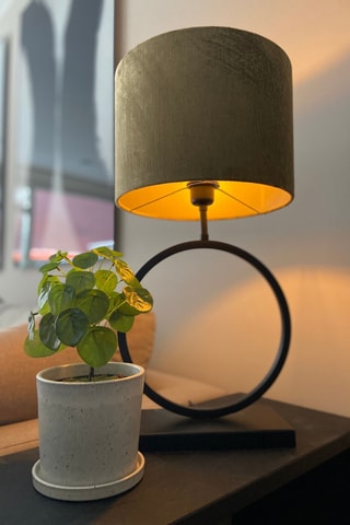 Pilea peperomioides artificiel - Vert - 25 cm