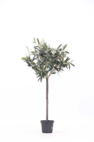 Olivier artificiel - Vert - 65 cm