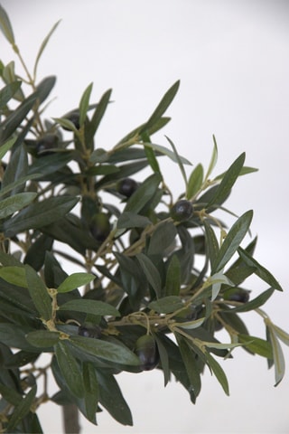 Olivier artificiel - Vert - 65 cm