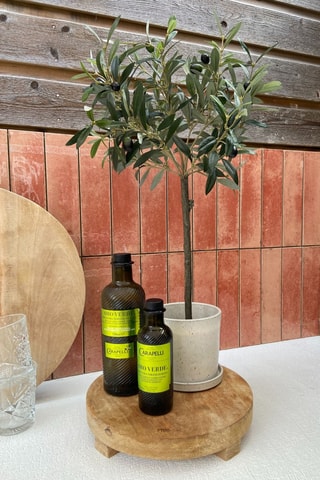 Olivier artificiel - Vert - 65 cm