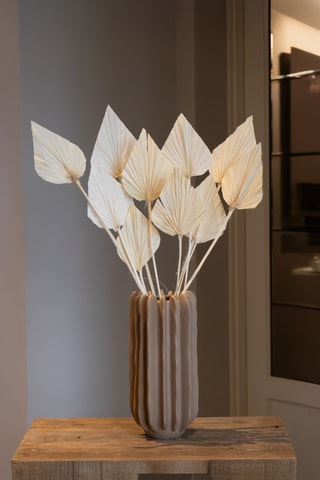 Bouquet de 10 fleurs séchées - 40 à 50 cm - Coloris aléatoire