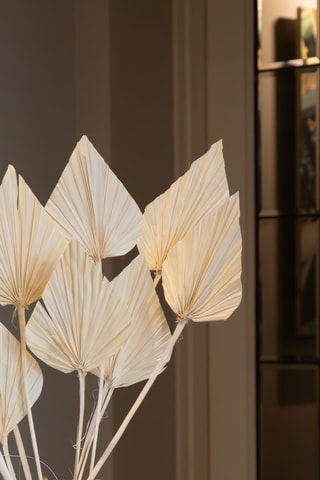 Bouquet de 10 fleurs séchées - 40 à 50 cm - Coloris aléatoire