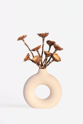 10 tiges de fleurs Protea Compacta séchées - 30 à 40 cm - Coloris aléatoire