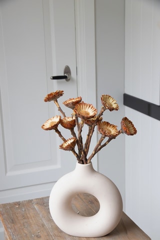 10 tiges de fleurs Protea Compacta séchées - 30 à 40 cm - Coloris aléatoire