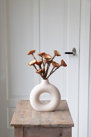 10 tiges de fleurs Protea Compacta séchées - 30 à 40 cm - Coloris aléatoire