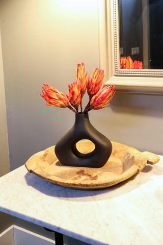 5 fleurs Protea Pendula - 30 à 40 cm - Coloris aléatoire