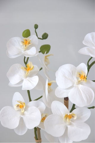 Orchidée Phalaenopsis artificiel - Blanc - 55 cm