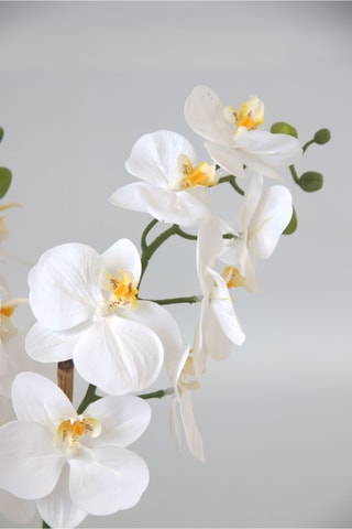 Orchidée Phalaenopsis artificiel - Blanc - 55 cm