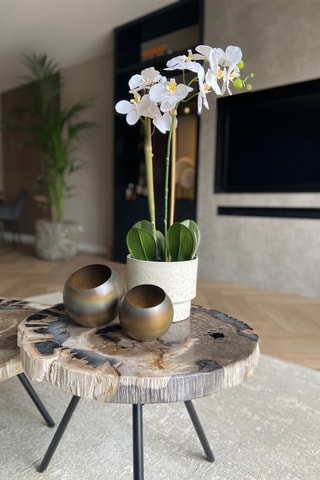 Orchidée Phalaenopsis artificiel - Blanc - 55 cm