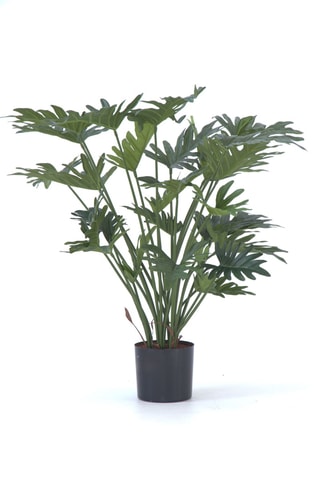 Philodendron artificiel - Vert - 65 cm