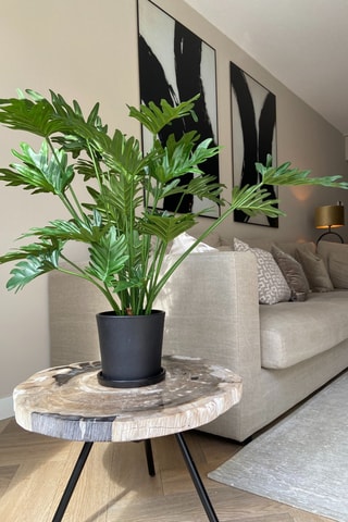 Philodendron artificiel - Vert - 65 cm