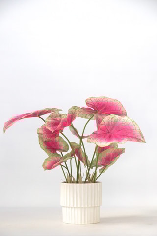 Caladium artificiel - Rose - 60 cm
