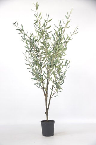 Olivier artificiel - Vert - 150 cm