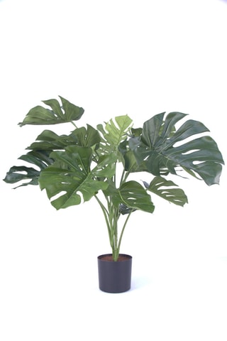 Monstera artificiel - Vert - 85 cm
