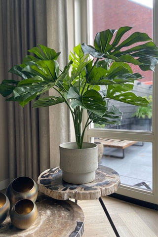 Monstera artificiel - Vert - 85 cm