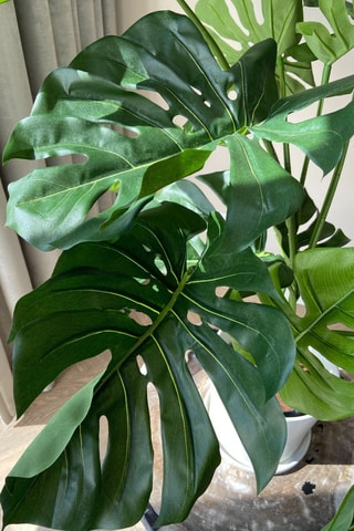Monstera artificiel - Vert - 85 cm