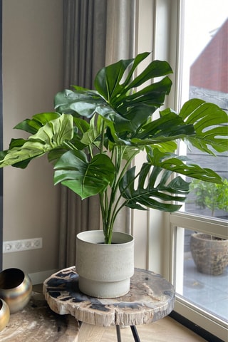 Monstera artificiel - Vert - 85 cm