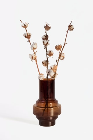 3 branches de coton séchées - 40 à 60 cm - Coloris aléatoire