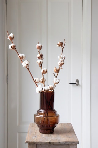 3 branches de coton séchées - 40 à 60 cm - Coloris aléatoire