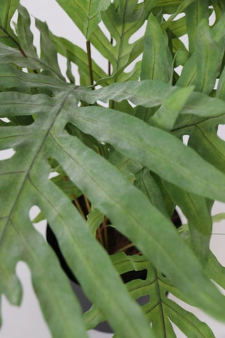 Fougère artificiel - Vert - 80 cm