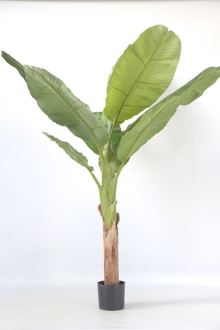 Bananier Musa artificiel - Vert - 150 cm