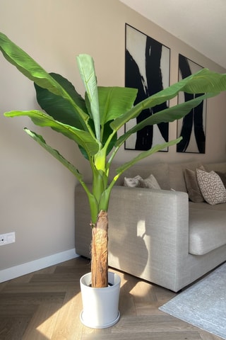 Bananier Musa artificiel - Vert - 150 cm