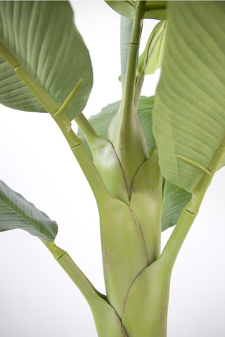 Bananier Musa artificiel - Vert - 150 cm