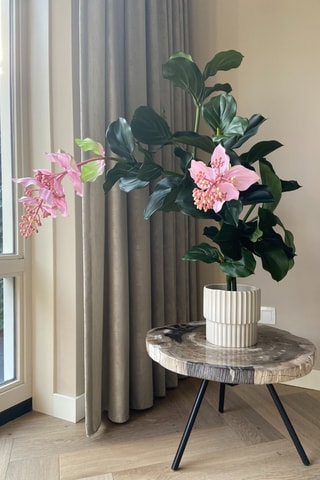 Medinilla artificiel - Rose - 85 cm