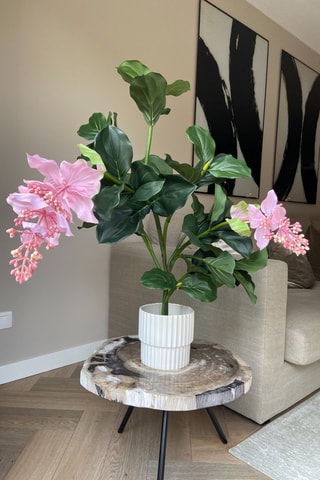 Medinilla artificiel - Rose - 85 cm