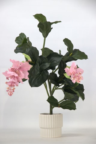 Medinilla artificiel - Rose - 85 cm