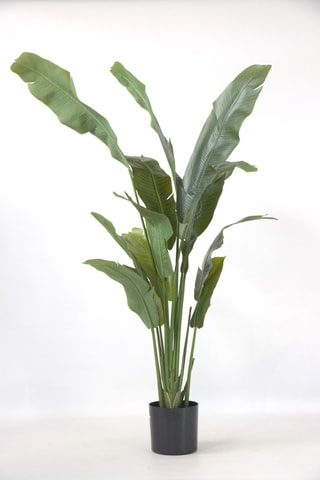 Strelitzia artificiel - vert - 160 cm