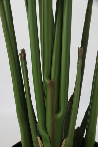 Strelitzia artificiel - vert - 160 cm