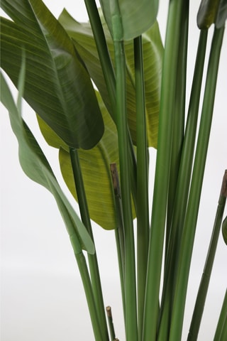 Strelitzia artificiel - vert - 160 cm