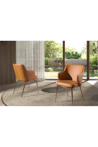 2 chaises - 51 x 62 x 80 cm