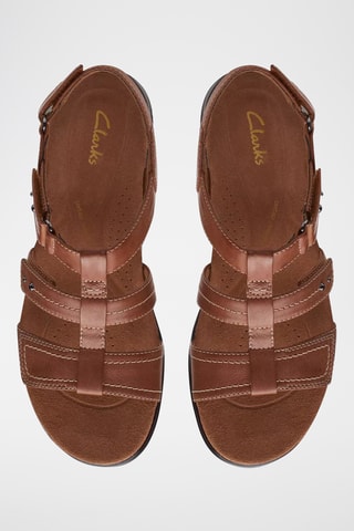 Sandales en cuir Kitly Step - Marron