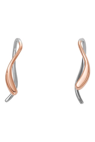 Pendientes - Rosa dorado y plateado