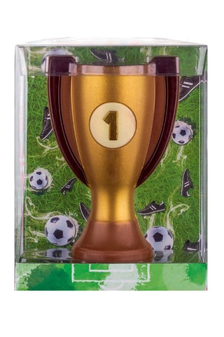 2 x 	Coupe des champions en chocolat au lait - 150 g